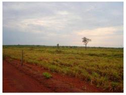 #101 - Fazenda para Venda em Lagoa da Confusão - TO - 3