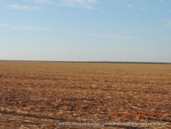 #41 - Fazenda para Venda em Baixa Grande do Ribeiro - PI - 1