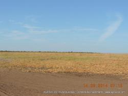 #41 - Fazenda para Venda em Baixa Grande do Ribeiro - PI - 2