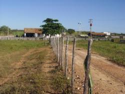 #51 - Fazenda para Venda em Fortaleza - CE