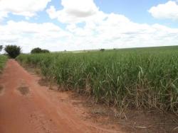 #53 - Fazenda para Venda em Bauru - SP