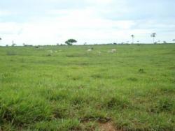 #54 - Fazenda para Venda em Marabá - PA