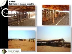 #44 - Fazenda para Venda em Cuiabá - MT - 3