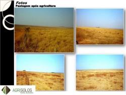 Fazenda para Venda em Cuiabá - 4