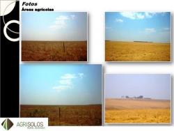 Fazenda para Venda em Cuiabá - 5