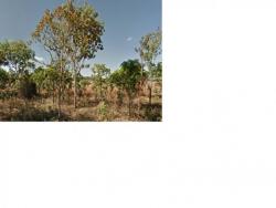 #59 - Fazenda para Venda em Formosa - GO