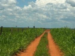 #60 - Fazenda para Venda em Confresa - MT - 2