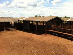 Fazenda para Venda em Confresa - 4