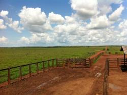 Fazenda para Venda em Confresa - 5