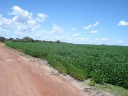 #61 - Fazenda para Venda em Unaí - MG - 3