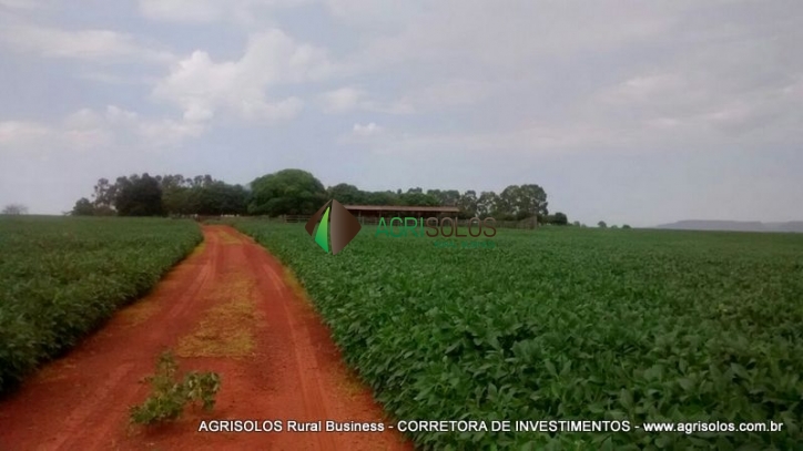 Terreno, 2500 m² - Foto 1