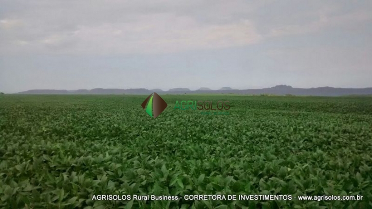 Terreno, 2500 m² - Foto 6