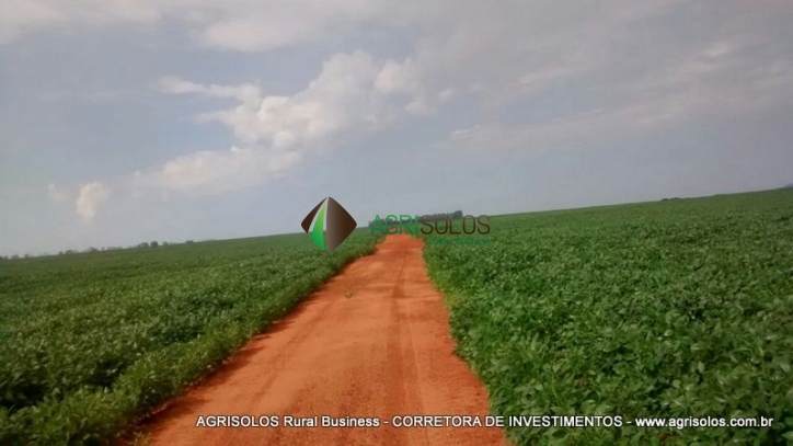 Terreno, 2500 m² - Foto 7