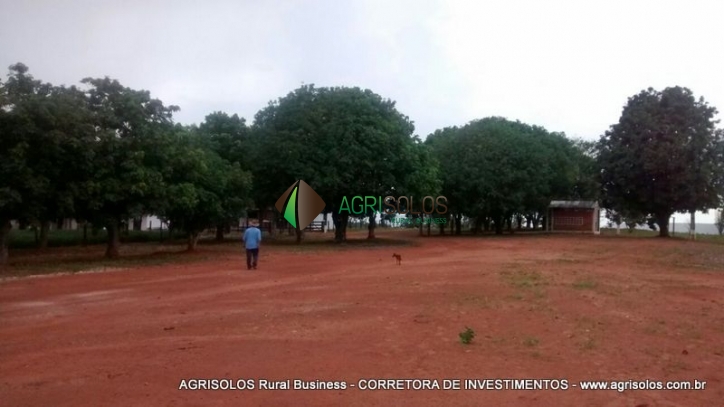 Terreno, 2500 m² - Foto 9