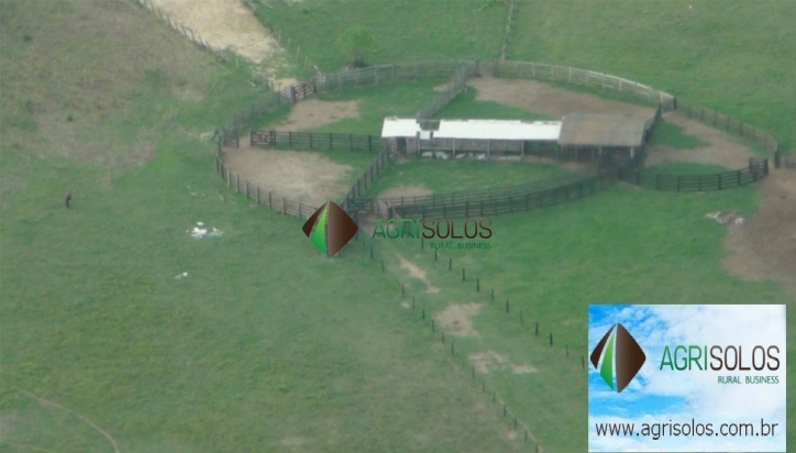 Terreno, 1 hectares - Foto 1