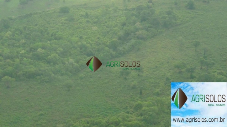 Terreno, 1 hectares - Foto 7