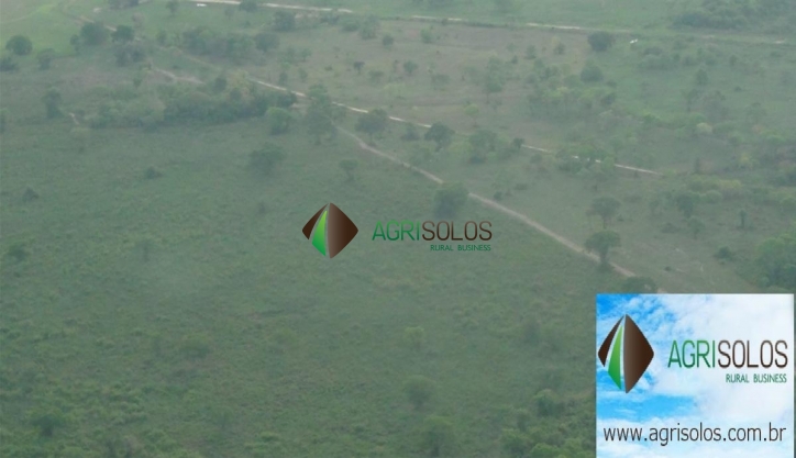 Terreno, 1 hectares - Foto 8