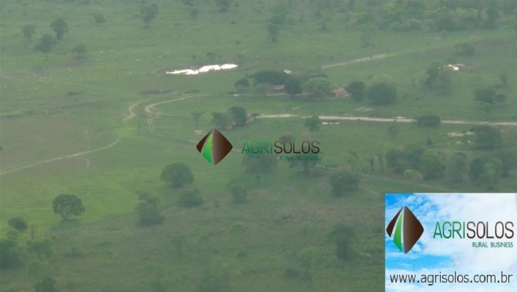 Terreno, 1 hectares - Foto 10