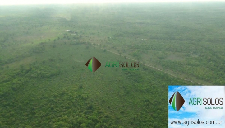 Terreno, 1 hectares - Foto 11