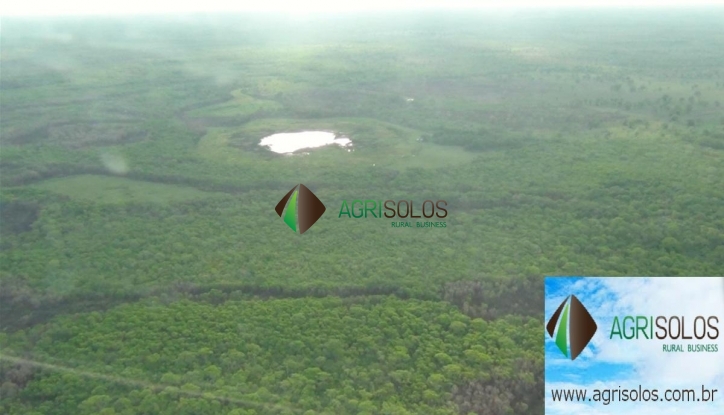 Terreno, 1 hectares - Foto 12