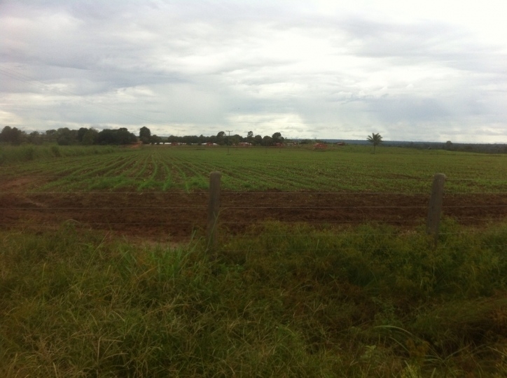 Terreno, 15700 hectares - Foto 3