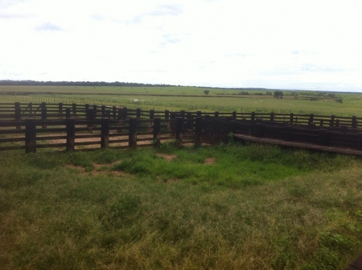 Terreno, 15700 hectares - Foto 1