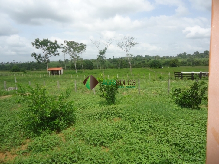 Terreno, 8800 m² - Foto 8