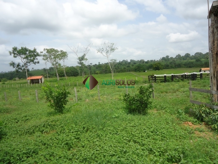 Terreno, 8800 m² - Foto 9
