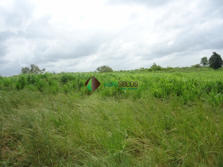 Terreno, 8800 m² - Foto 11