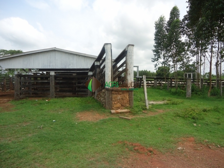 Terreno, 8800 m² - Foto 12