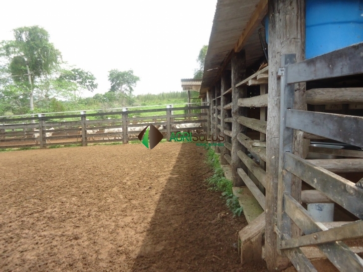 Terreno, 8800 m² - Foto 14