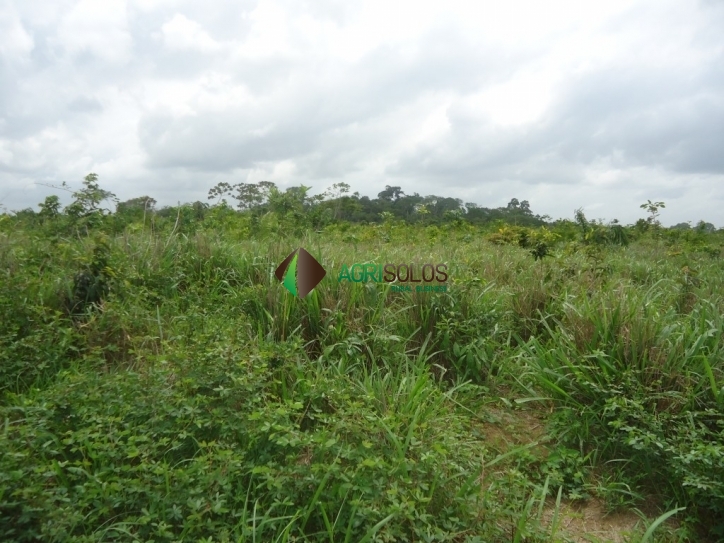 Terreno, 8800 m² - Foto 15