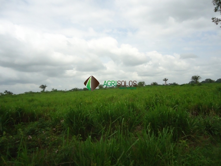 Terreno, 8800 m² - Foto 17