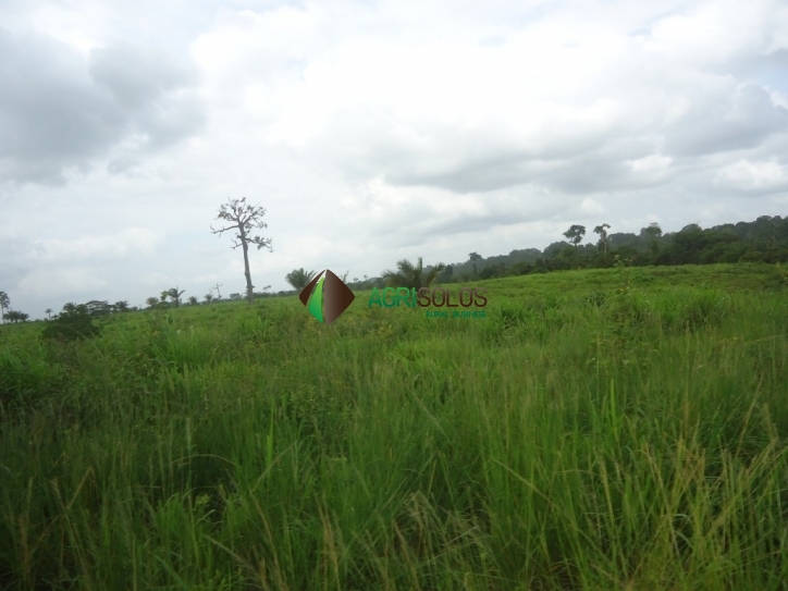 Terreno, 8800 m² - Foto 18
