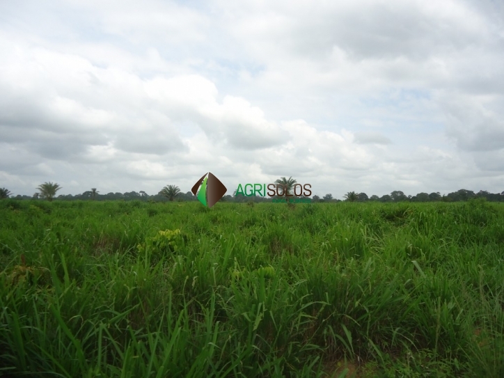 Terreno, 8800 m² - Foto 19
