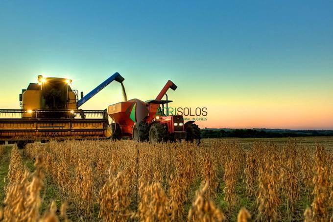 Terreno à venda e aluguel, 10000m² - Foto 2