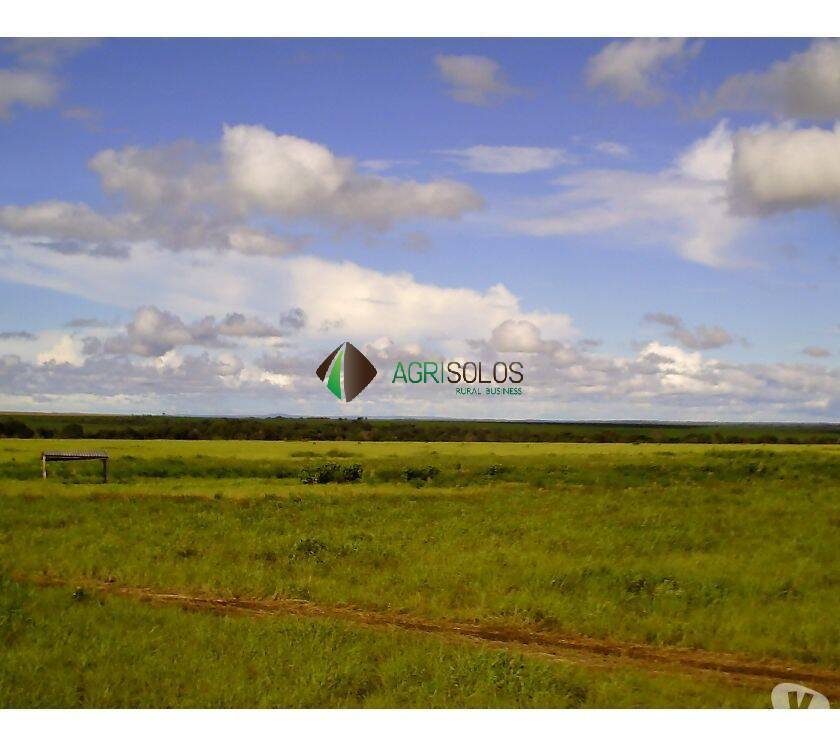 Terreno, 2 hectares - Foto 6