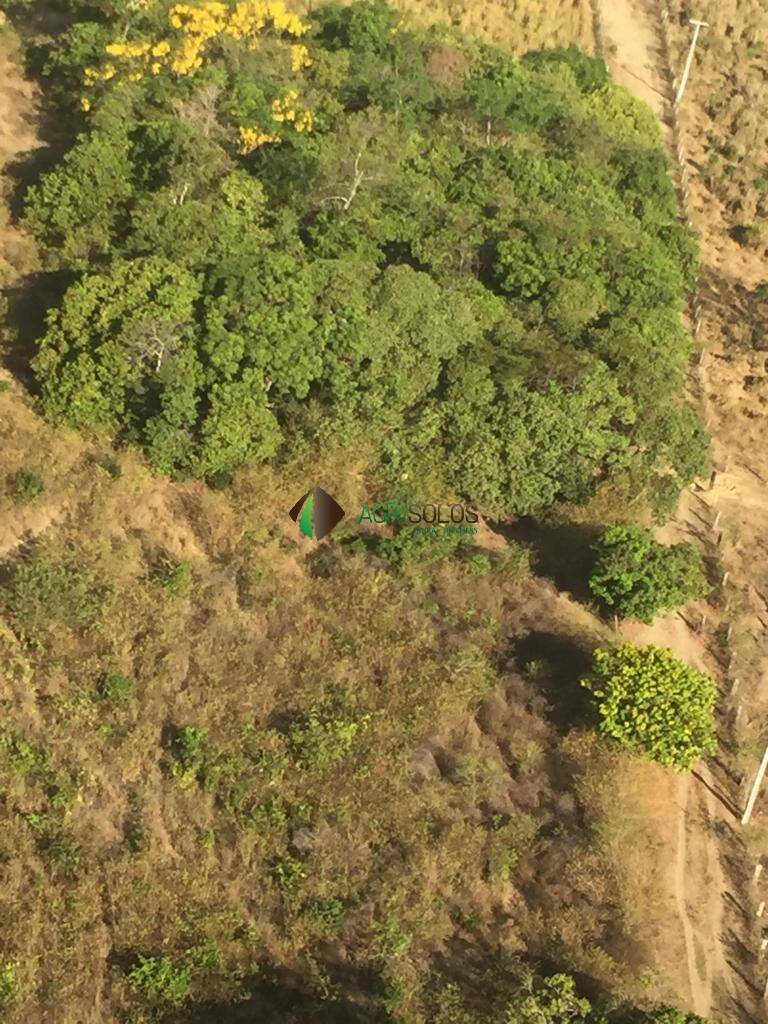 Terreno, 8200 m² - Foto 4