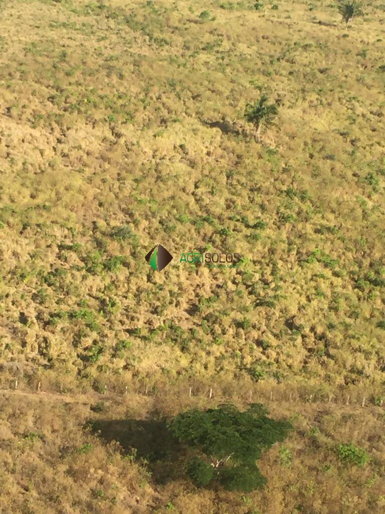 Terreno, 8200 m² - Foto 3