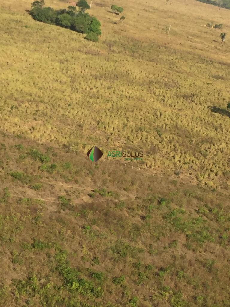 Terreno, 8200 m² - Foto 5