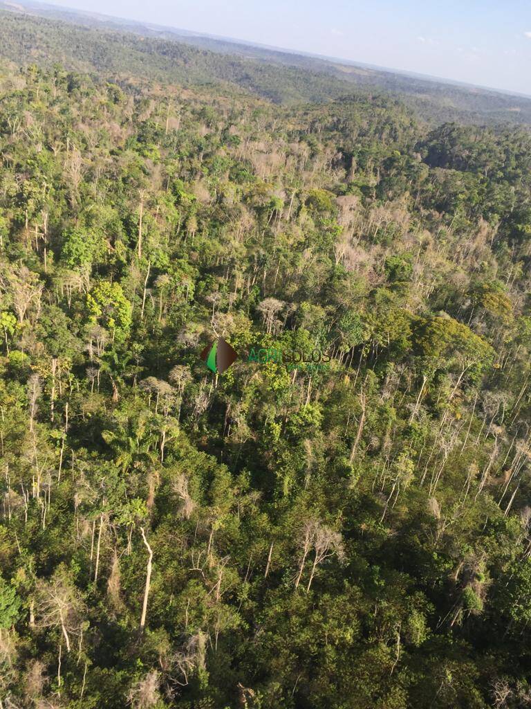 Terreno, 8200 m² - Foto 6