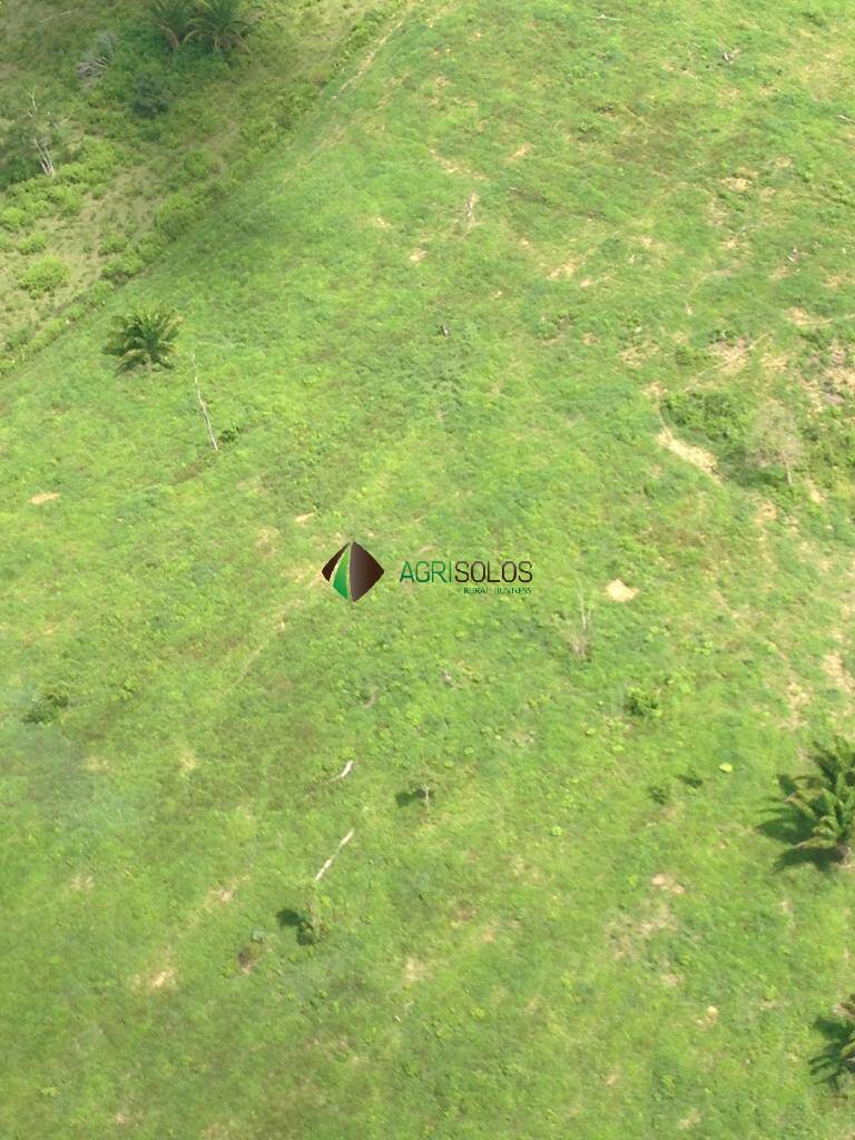 Terreno, 8200 m² - Foto 2