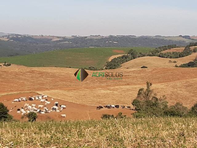 Terreno, 2395 m² - Foto 6