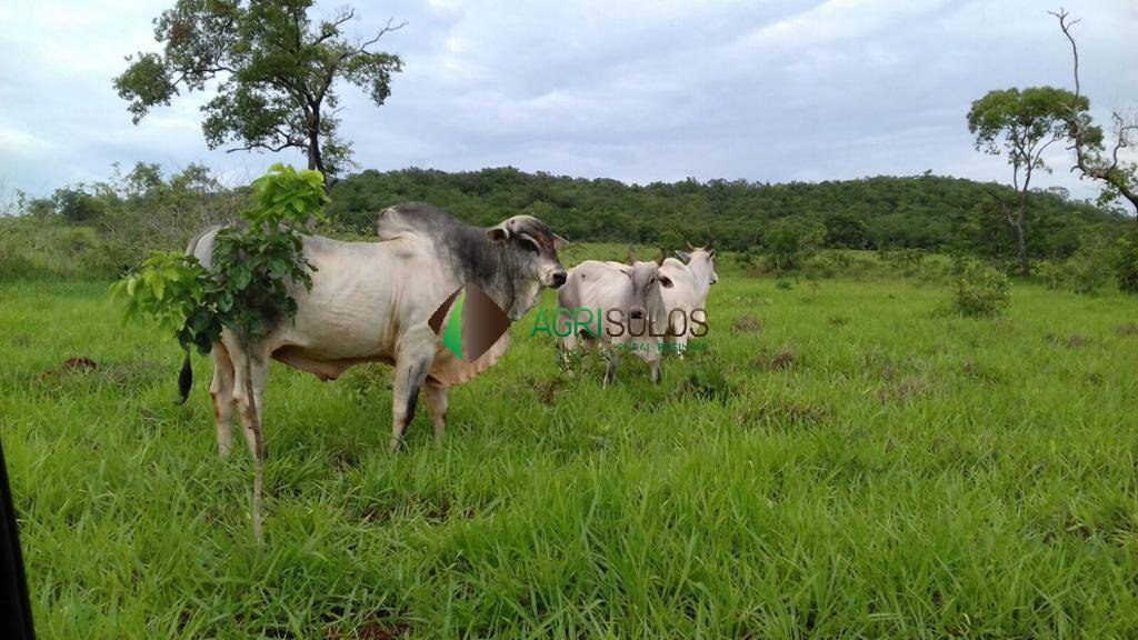 Terreno, 1 hectares - Foto 8