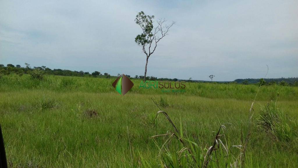 Terreno, 1 hectares - Foto 10