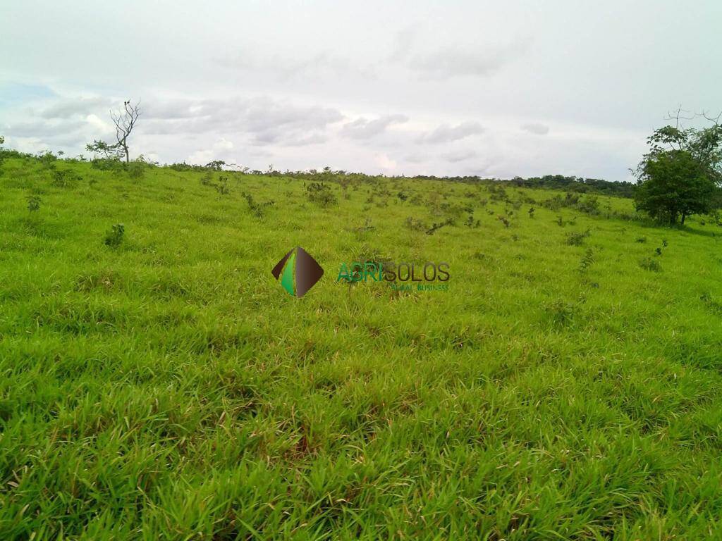 Terreno, 1 hectares - Foto 13