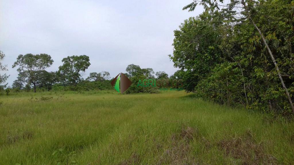 Terreno, 1 hectares - Foto 14