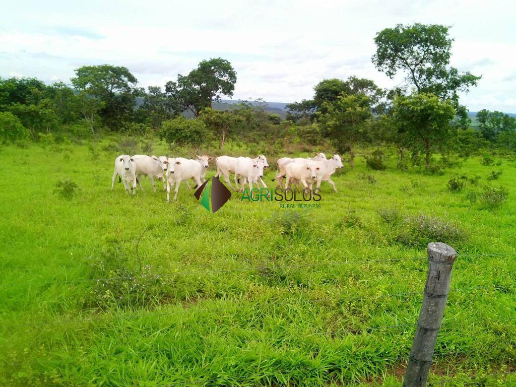Terreno, 1 hectares - Foto 17