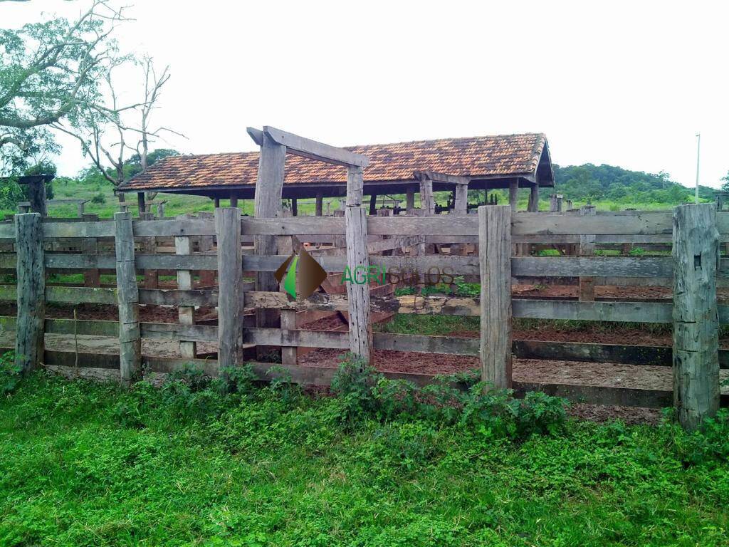 Terreno, 1 hectares - Foto 19