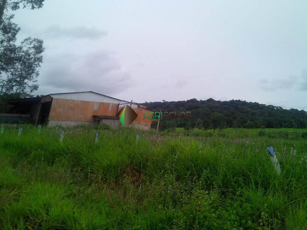 Terreno, 1 hectares - Foto 21
